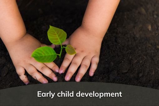 Early child development