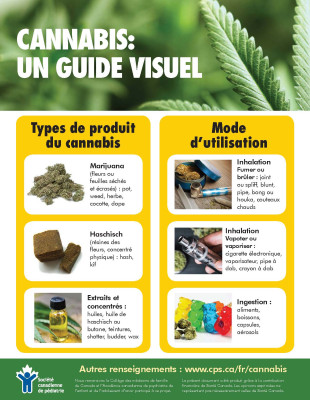 Cannabis: Un guide visuel